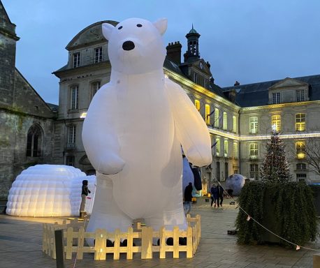 OURS BLANC 6M