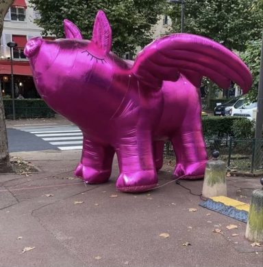 COCHON AILES